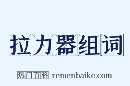 拉力器组词是什么意思的图片